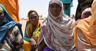 image1170x530cropped 1 1