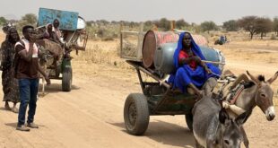 image1170x530cropped 1 2