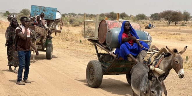 image1170x530cropped 1 2