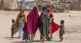 image1170x530cropped 2