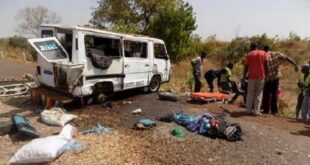 whatsapp image 2024 08 15 at 17.39.11