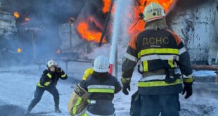 image1170x530cropped 1 1