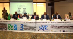 thumbs b c 683de77d9ab4f790e146f811738a8d80