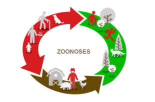 ZOONOSES