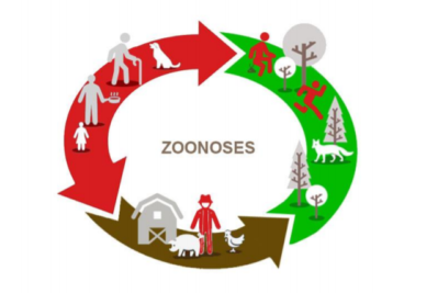 ZOONOSES