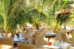 Commerce et les services: Baisse des chiffres d’affaires dans le commerce et les services au Sénégal