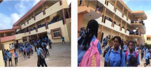 Cours sainte Bernadette