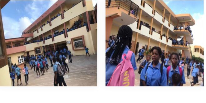 Cours sainte Bernadette