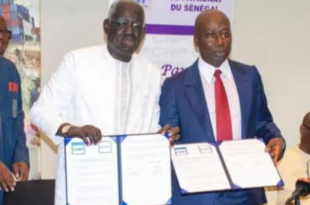 CNPCNES 2 1080x900 1