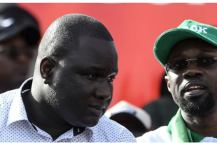 Capture decran 2024 10 22 073935