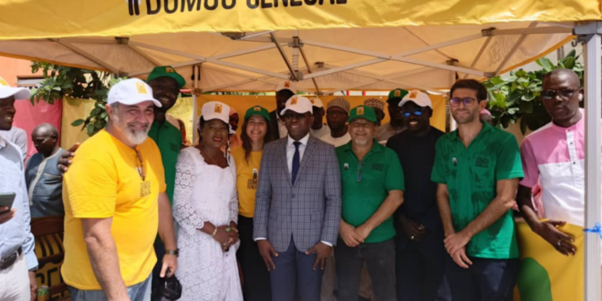 Domou Senegal 905x613 1