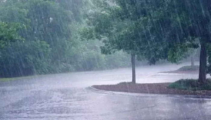 Pluie persistante jusqua jeudi Des previsions meteorologiques precises pour le Senegal thumbnail