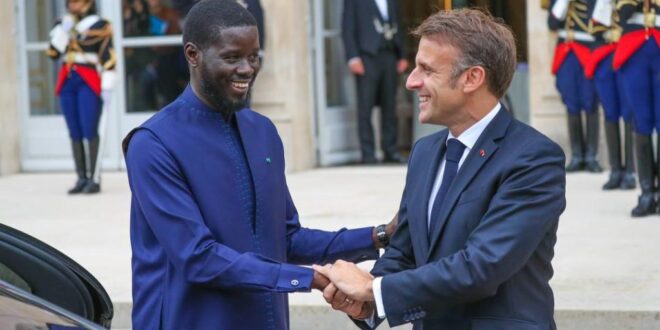 WhatsApp Image 2024 06 20 at 15.46.48 2 1024x732 1