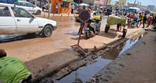 WhatsApp Image 2024 10 07 at 13.37.01