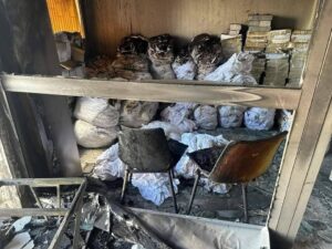 WhatsApp Image 2024 10 28 at 10.39.45