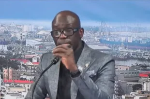 cheikh yerim seck 2.png