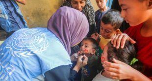 image1170x530cropped 1 1