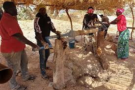 entreprises semi-mécanisées