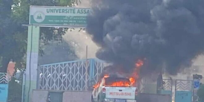 1002044740 768x1024 1 e1732285616213