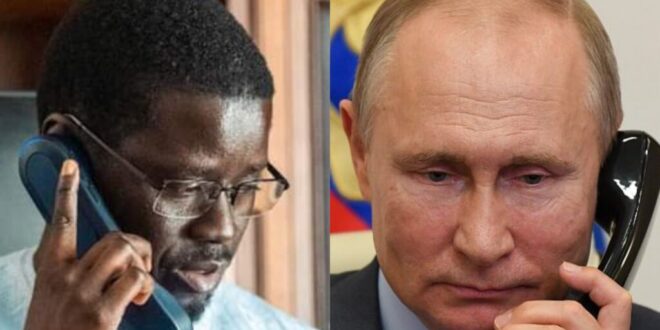 BASSIROU DIOMAYE FAYE ET LE PRÉSIDENT VLADIMIR POUTINE