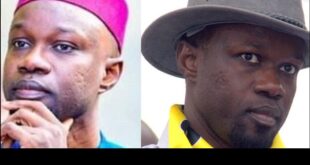 sonko le bon la brute e1731583410848