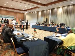 Processus de Nouakchott: Pour un renforcement des défis sécuritaires dans la zone sahélo-sahélienne