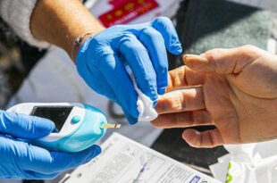 thumb 27766 paysage big