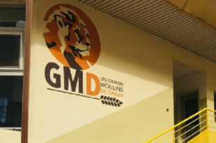 Racisme en Tunisie: Le GMD soutien lé diversité africaine 1 48122738 37874055