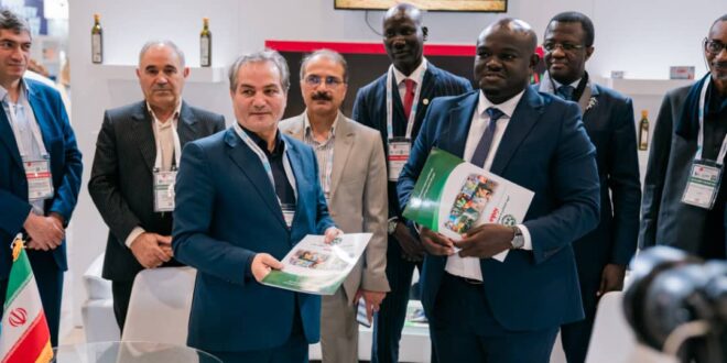 IMG 20241204 WA0206 1