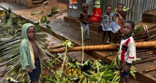 image1170x530cropped 1 3