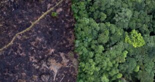 changement climatique