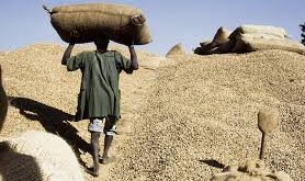 commercialisation de l'arachide