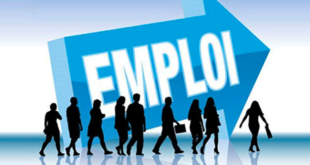 tunisie emploi jeunes
