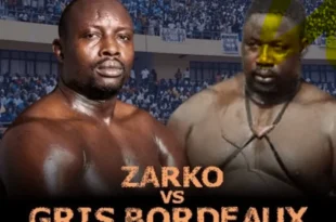 Combat acharne entre Gris Bordeaux et Zarco lheure de la rehabilitation a lArene nationale thumbnail