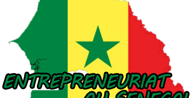 entrepreneuriat sn@221@ L 2020 09 09 00 29 32entrepreneuriat sn logo 1