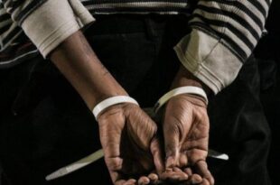 Mafia des billets d'avion à Air Sénégal : une femme arrêtée 4 femme arretee