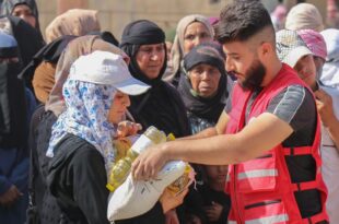 Liban : L'insécurité alimentaire s'aggrave après le conflit