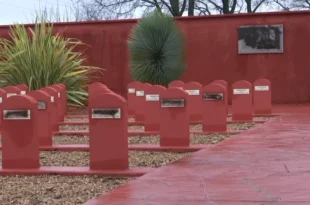 Tata senegalais cimetiere Chasselay le 30 01 2025 2024734