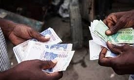 WhatsApp Image 2025 02 11 at 10.49.50