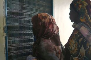 image1170x530cropped 6