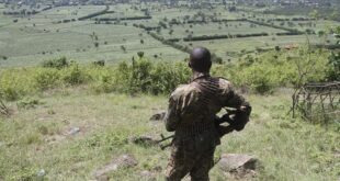 thumbs b c 2b01c0ee4f3651642833203394de356d