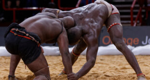 Lutte senegalaise Bercy 2013 Mame Balla Pape Mor Lo 32