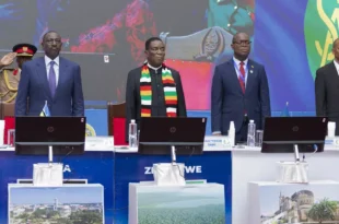 1024x576 cmsv2 161d1b1b e445 55a0 88ac c866d0f540d1 9077332