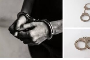 Screenshot 20250414 2141062