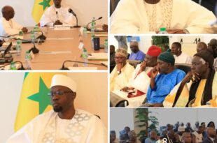 Screenshot 20250415 1817262