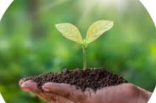 Screenshot 20250509 103206 Google