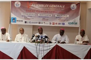 Screenshot 20250511 093836 Gallery