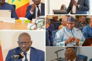 Screenshot 20250512 1751122