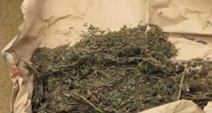 Screenshot 20250514 162054 WhatsApp