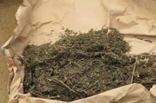 Screenshot 20250514 162054 WhatsApp